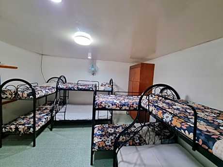 10-Bed Mixed Dormitory Room