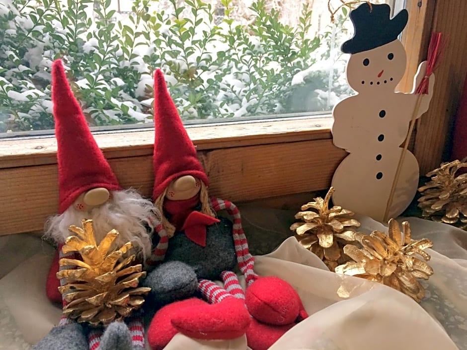 Pokoje Gościnne Pod Ciupagą