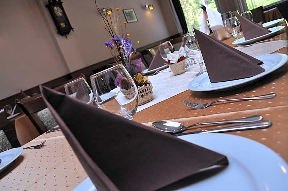 Hotel Muresul Health Spa