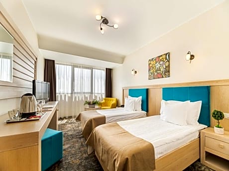 Double Standard Room with Danube View