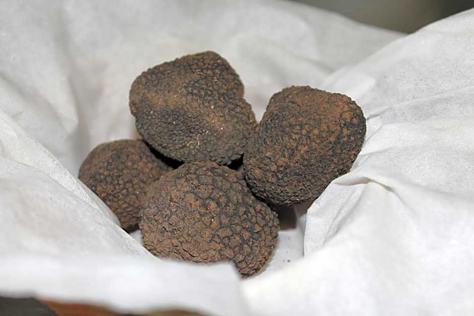 Logis Hotels- Auberge de la Tour - Hôtel et restaurant