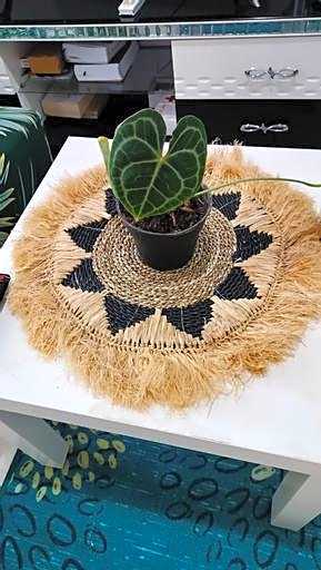 Griya Tamu Monstera Bali