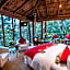 Trogon House and Forest Spa