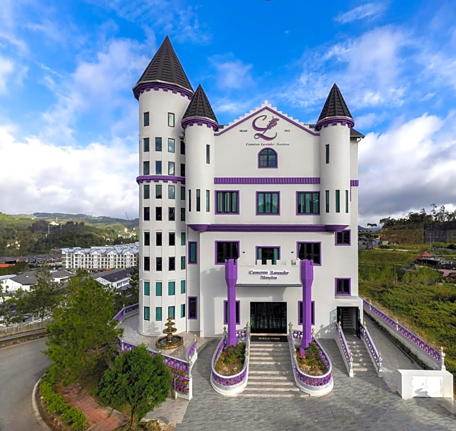 Cameron Lavender Mansion by PLAY