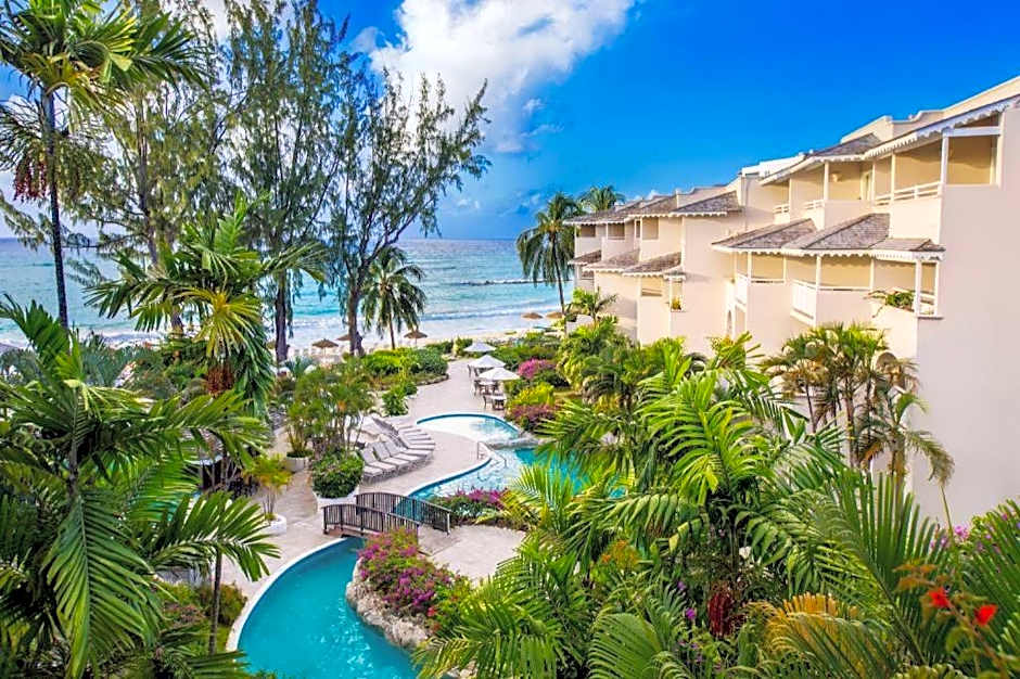 Bougainvillea Barbados