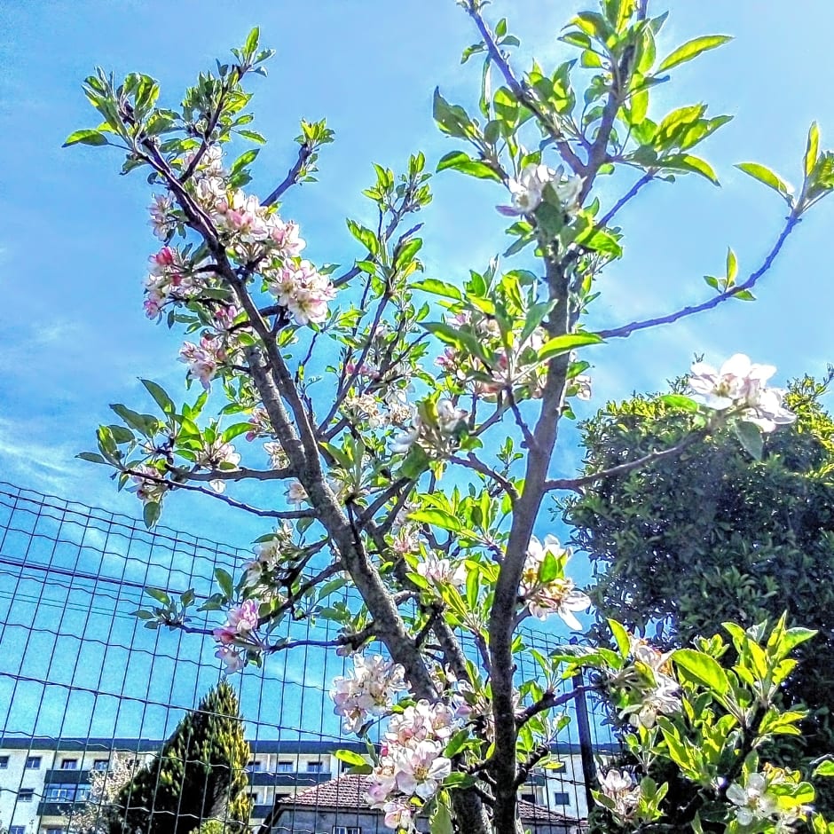 Casa Vale do Rio Ovil