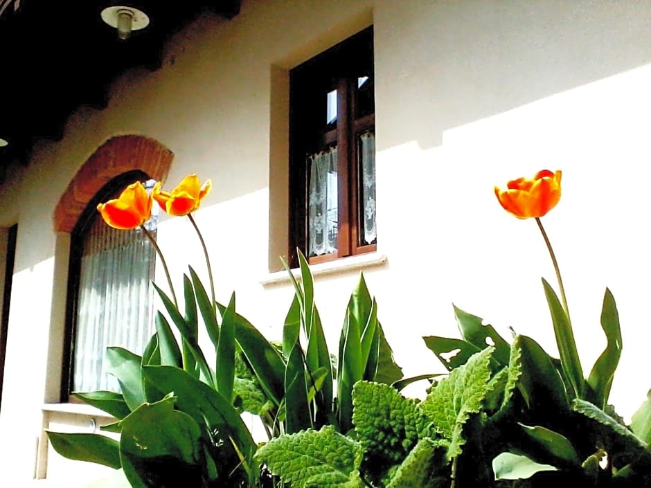 Cascina Creusa B&B