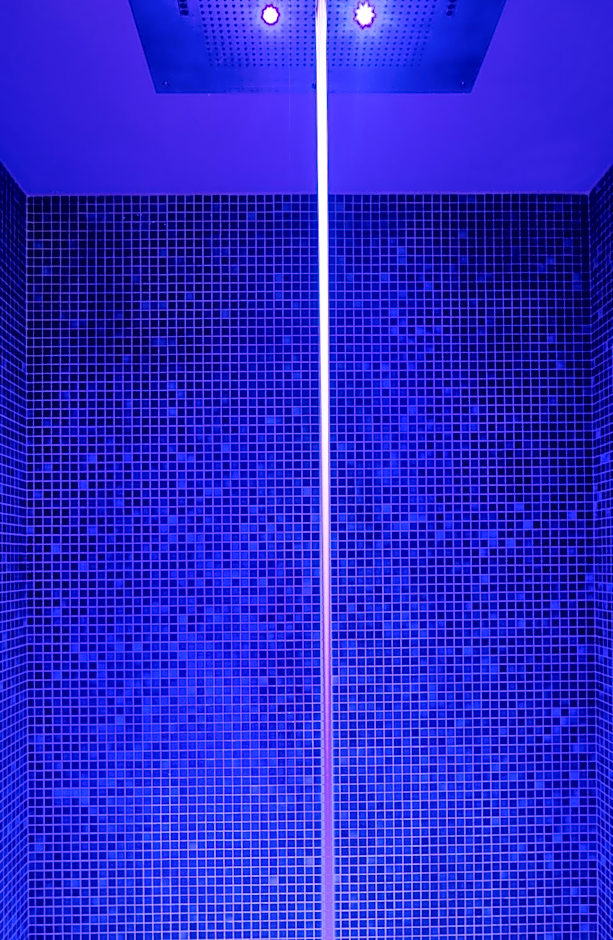 Artemisia Montmartre