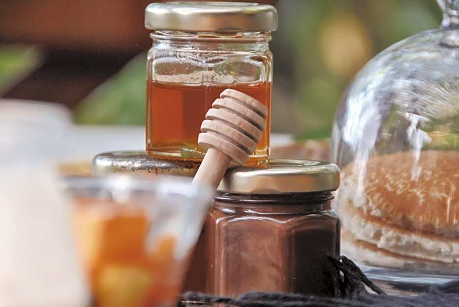 Boutique Hotel EL NIDO Holbox