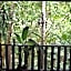 Oskar's Rain Forest Retreat