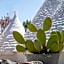 TRULLO MATTEO VILLA DE LUXE avec PISCINE