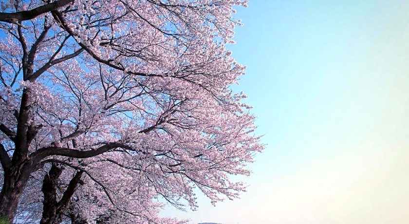 Hotel Grand Bach Sendai