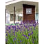 ＦＵＲＡＮＯ ＮＡＴＵＬＵＸ ＨＯＴＥＬ - Vacation STAY 68190v