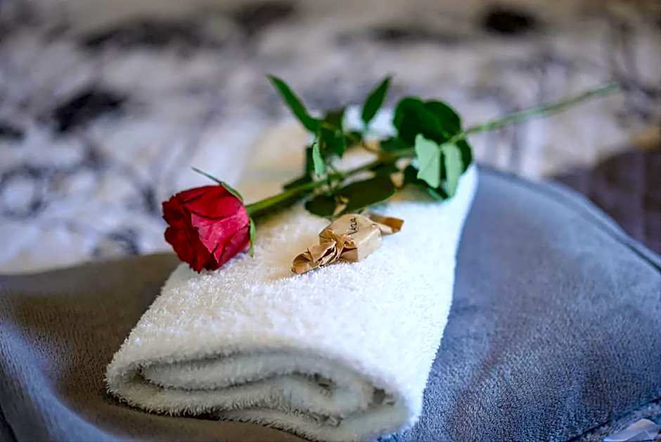 Wellness Penzion Life