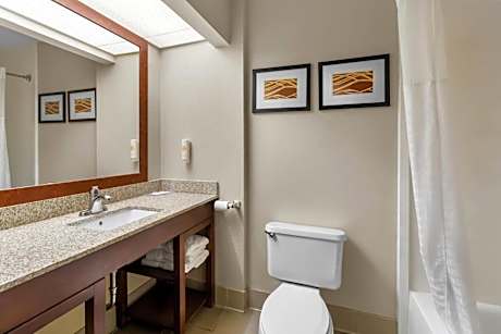 King Suite - Non-Smoking