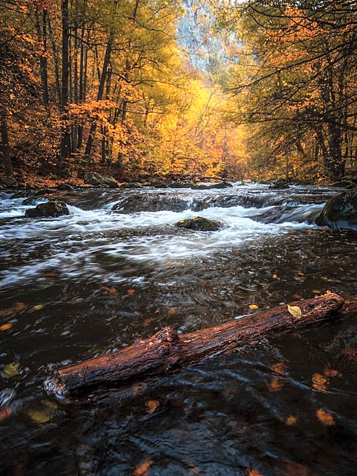 Harz Hotel Vogelberg