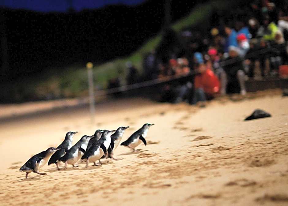 The Island Accommodation