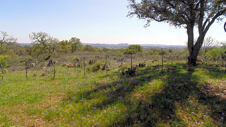 Texas T Bed and Breakfast