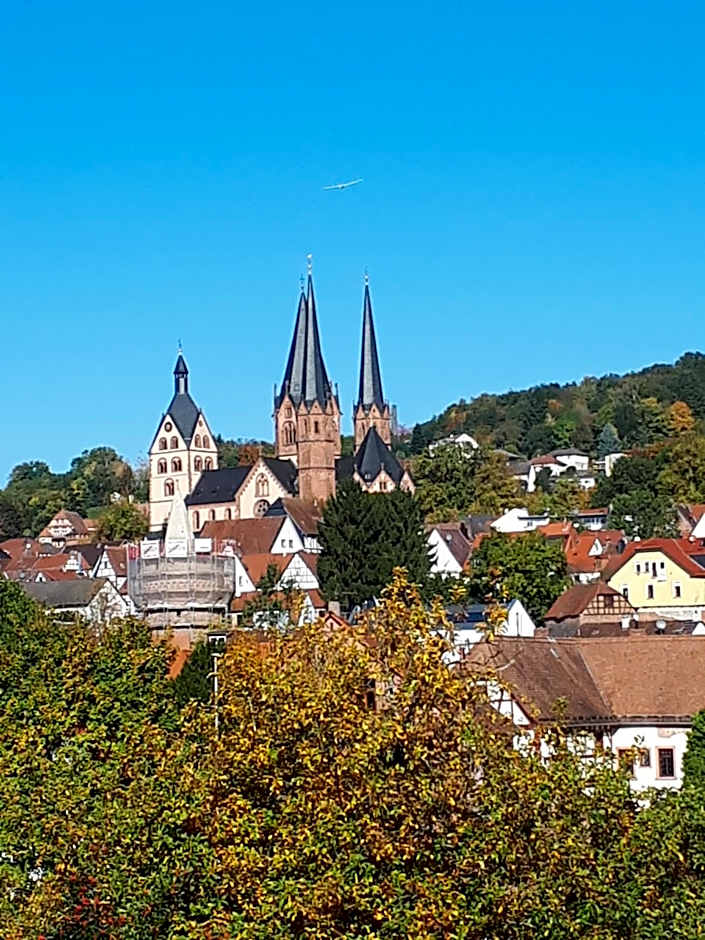 Hotel Burg-Mühle