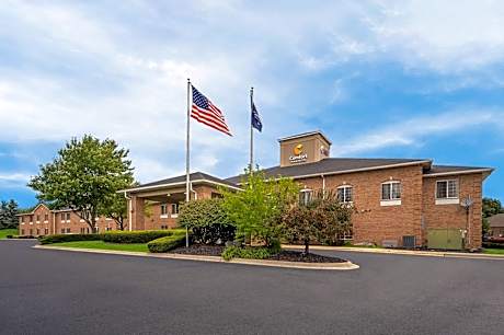 Comfort Inn & Suites Fenton