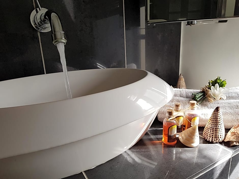 Le Clos Falaw – Azay-sur-Cher, TN