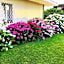 Bed and Breakfast da Beatrice