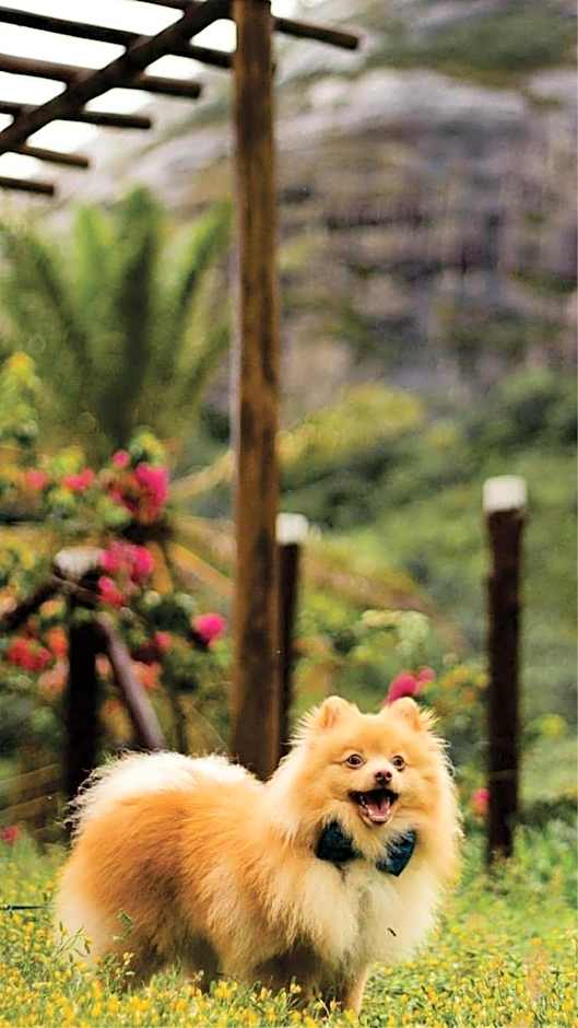 A Paz e Energia do Rodeadouro