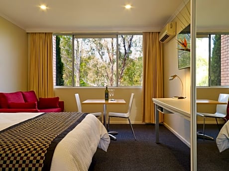 Premium Suite With Park View