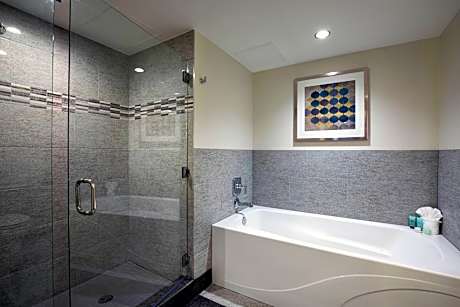 Suite, 1 Bedroom (1 King Bed)