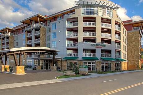 Courtyard by Marriott Gatlinburg Downtown