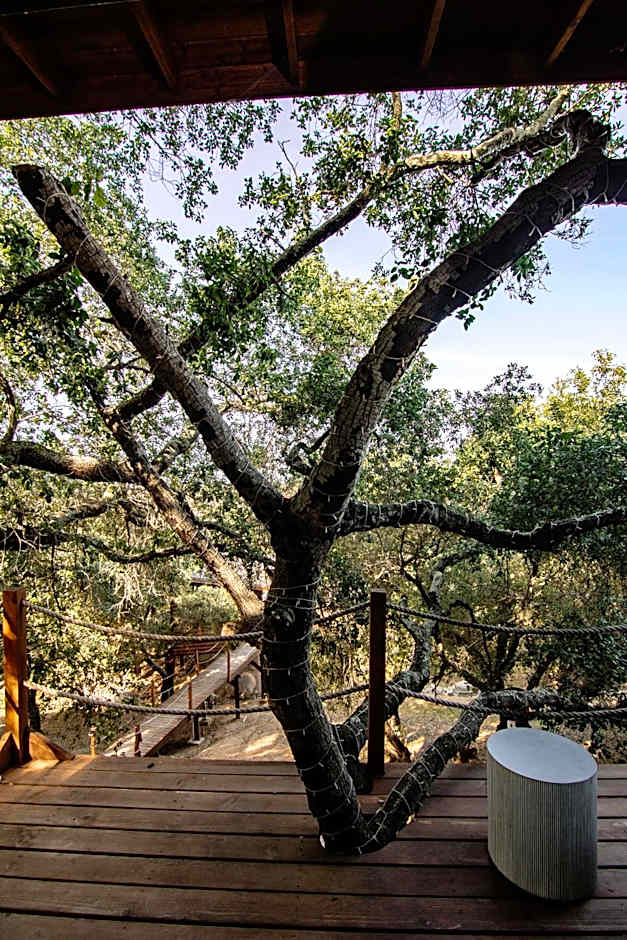 Boskenvid Hotel - Romantic Treehouses & Skypool