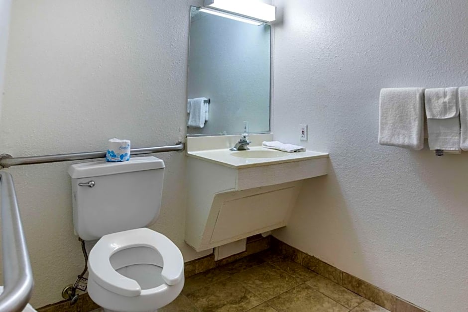 Rodeway Inn Auburn Hills