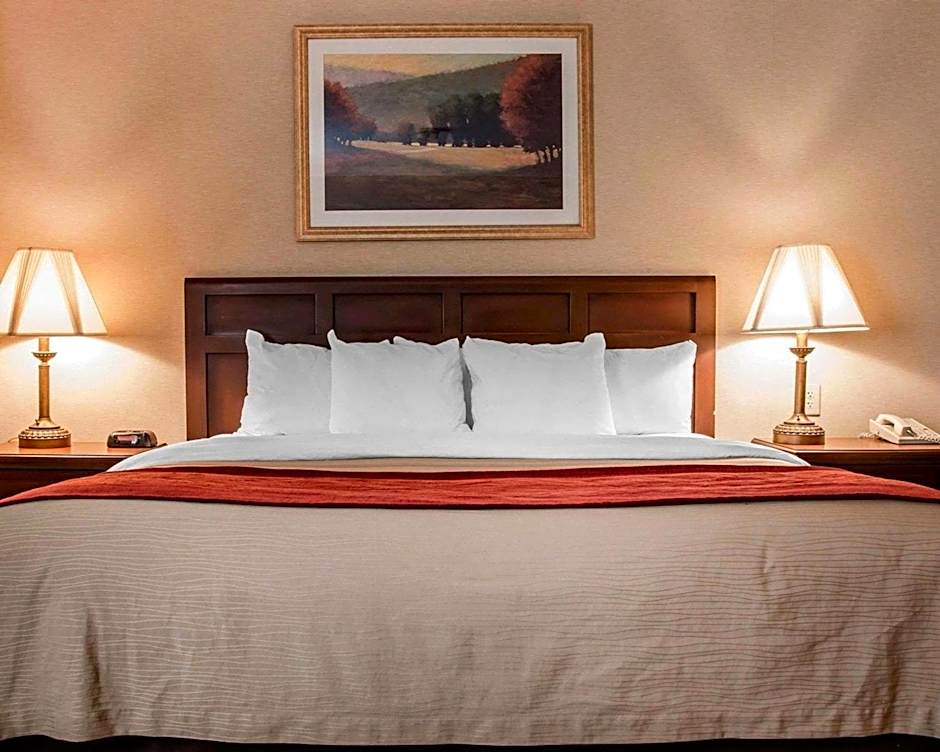 Comfort Inn Livonia