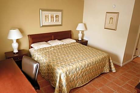 King Room (Pet-Friendly)