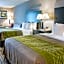Comfort Inn Camden