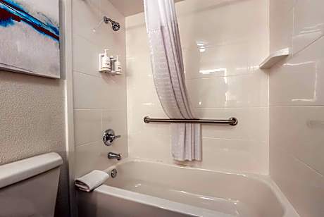 1 King Bed, Accessible Room, Non-Smoking