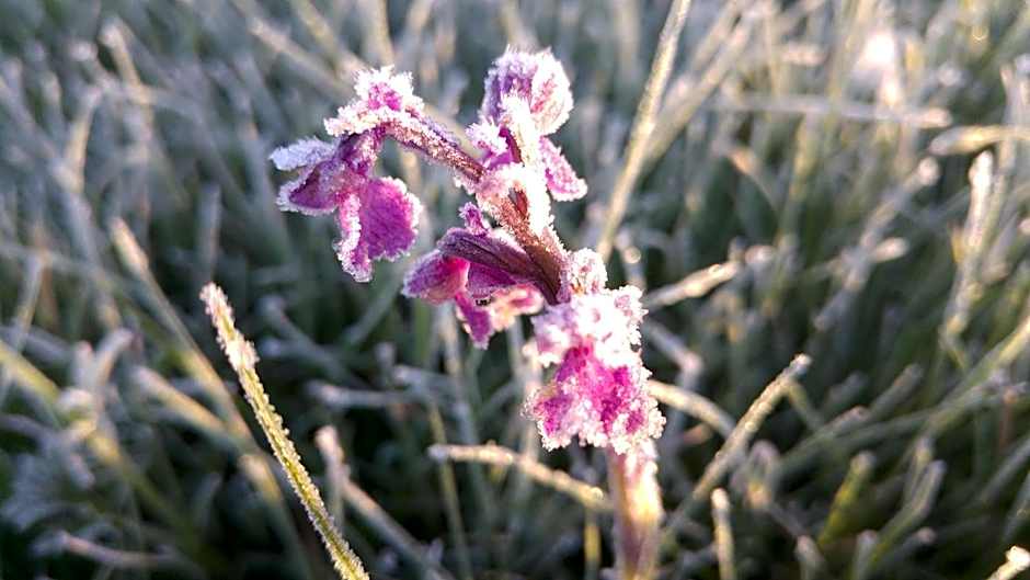 La Hosteria de Castroviejo
