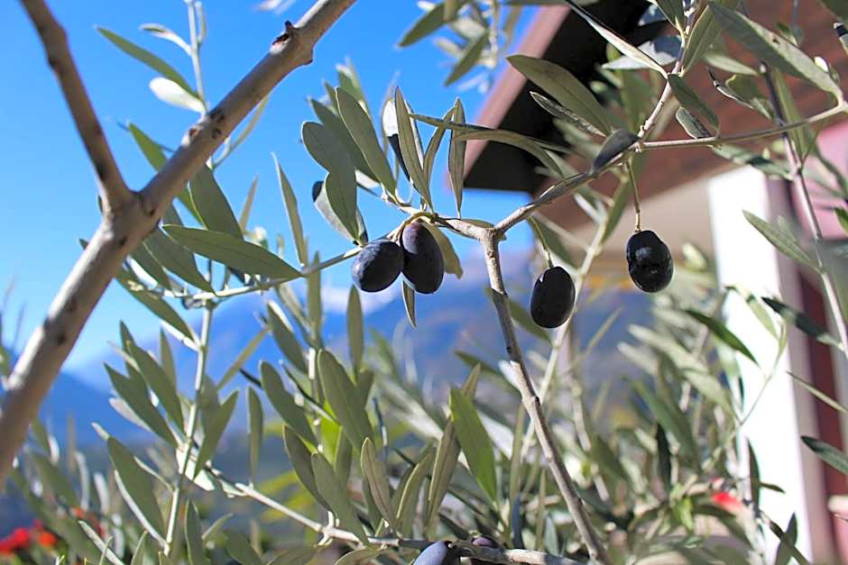 Schenna Garni Eden Bed & Breakfast