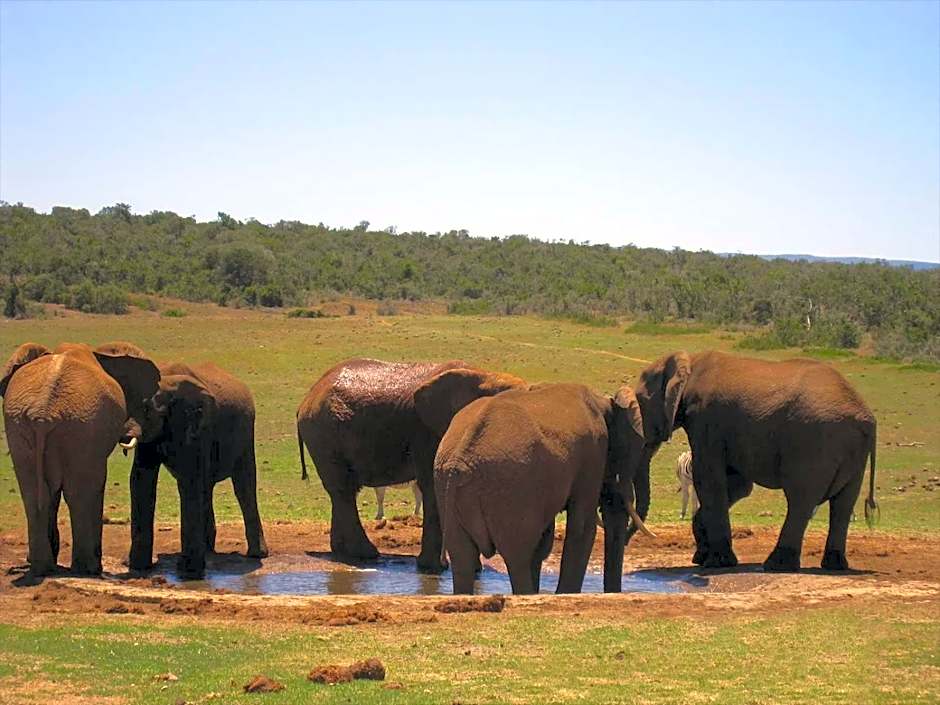 Lemon 3 Lodge Guesthouse