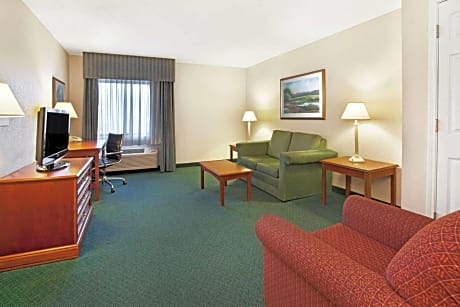 1 King Bed, One-Bedroom Apartment, Non-Smoking