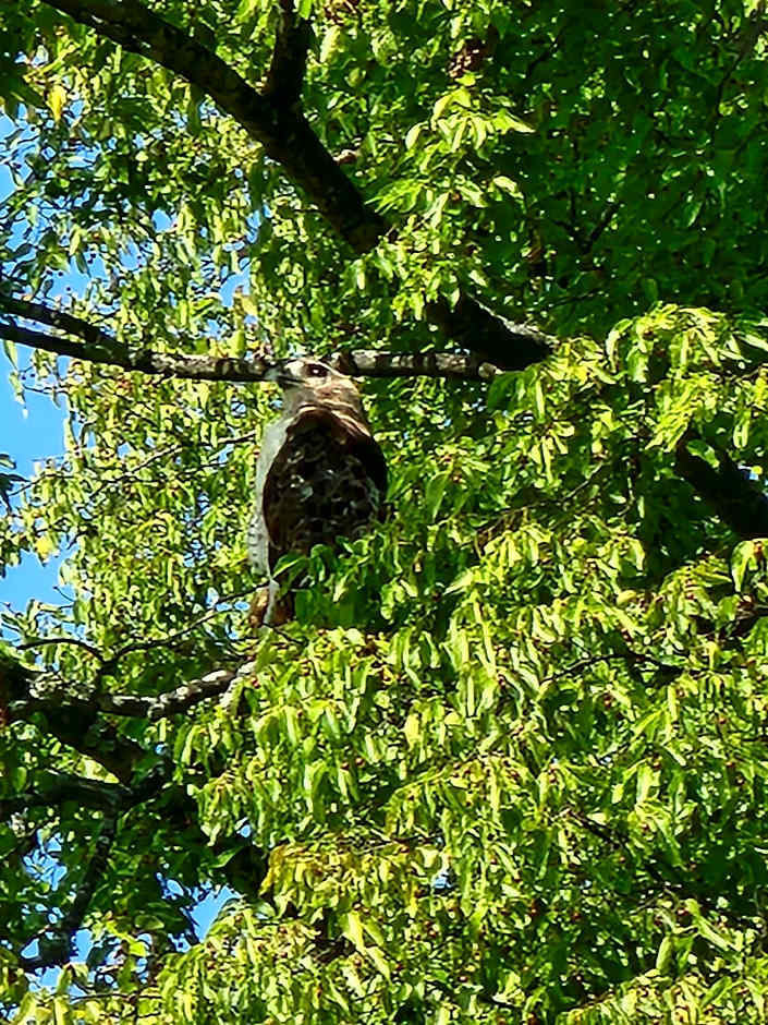 Drakes Creek Inn - formerly The Relax Inn