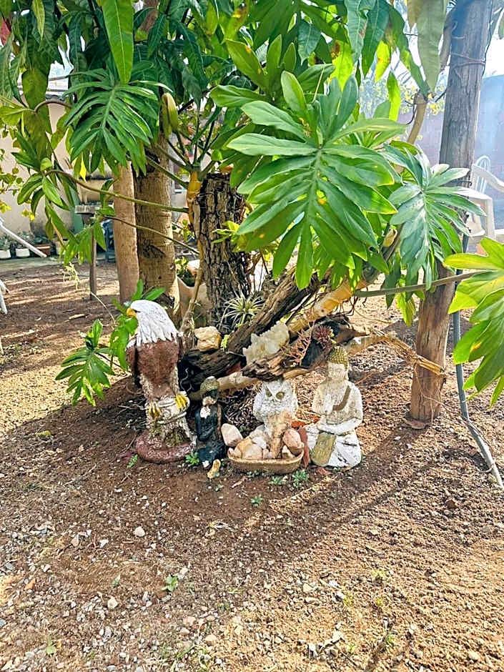 Hospedagem Alternativa