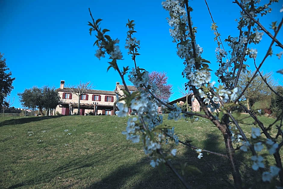 Quelli del Picchio