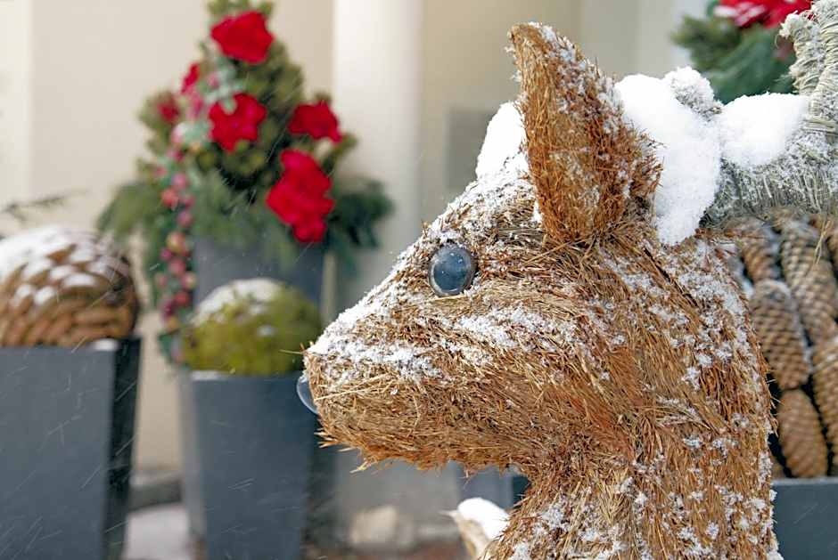 Sporthotel Schönruh