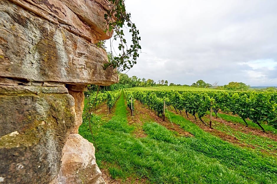 Dohlmühle Gästehaus & Weingut