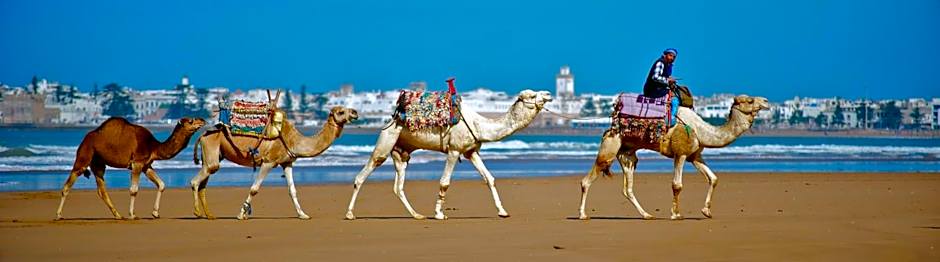 Riad Dar L'Oussia & SPA