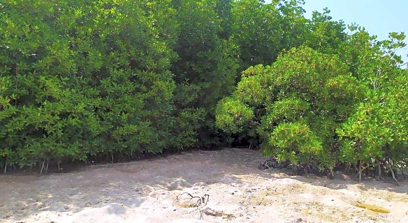 Courtyard Guesthouse