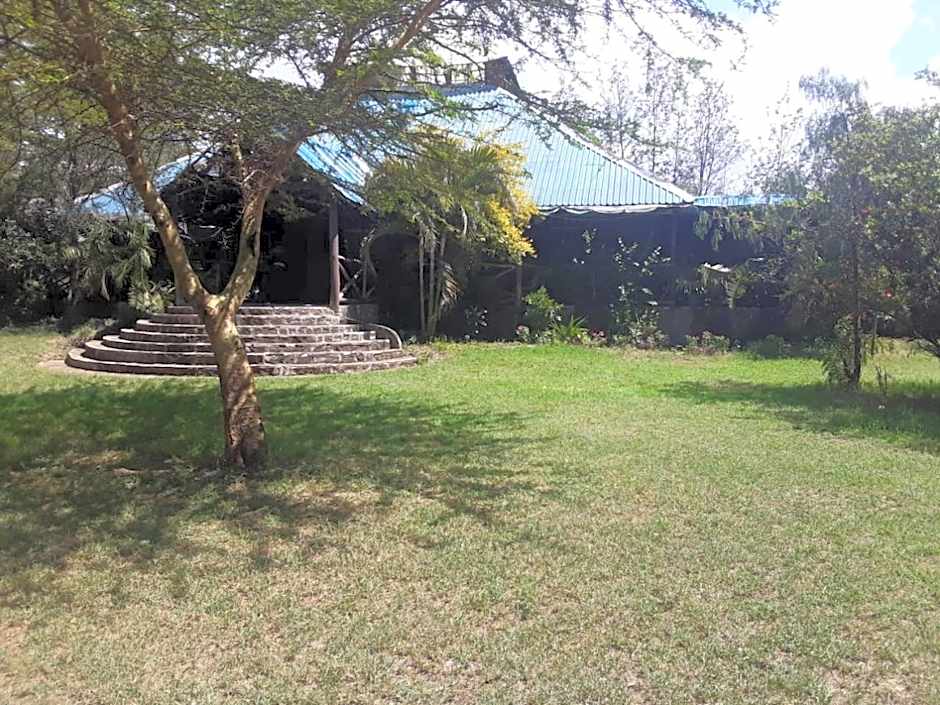 Cactus Eco Camp and Lodge