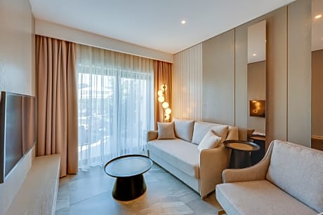 suit room with kitchen 44m