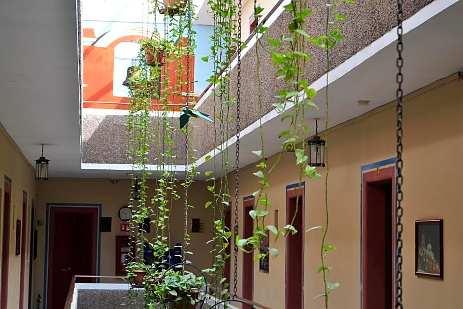 Hotel Janeiro